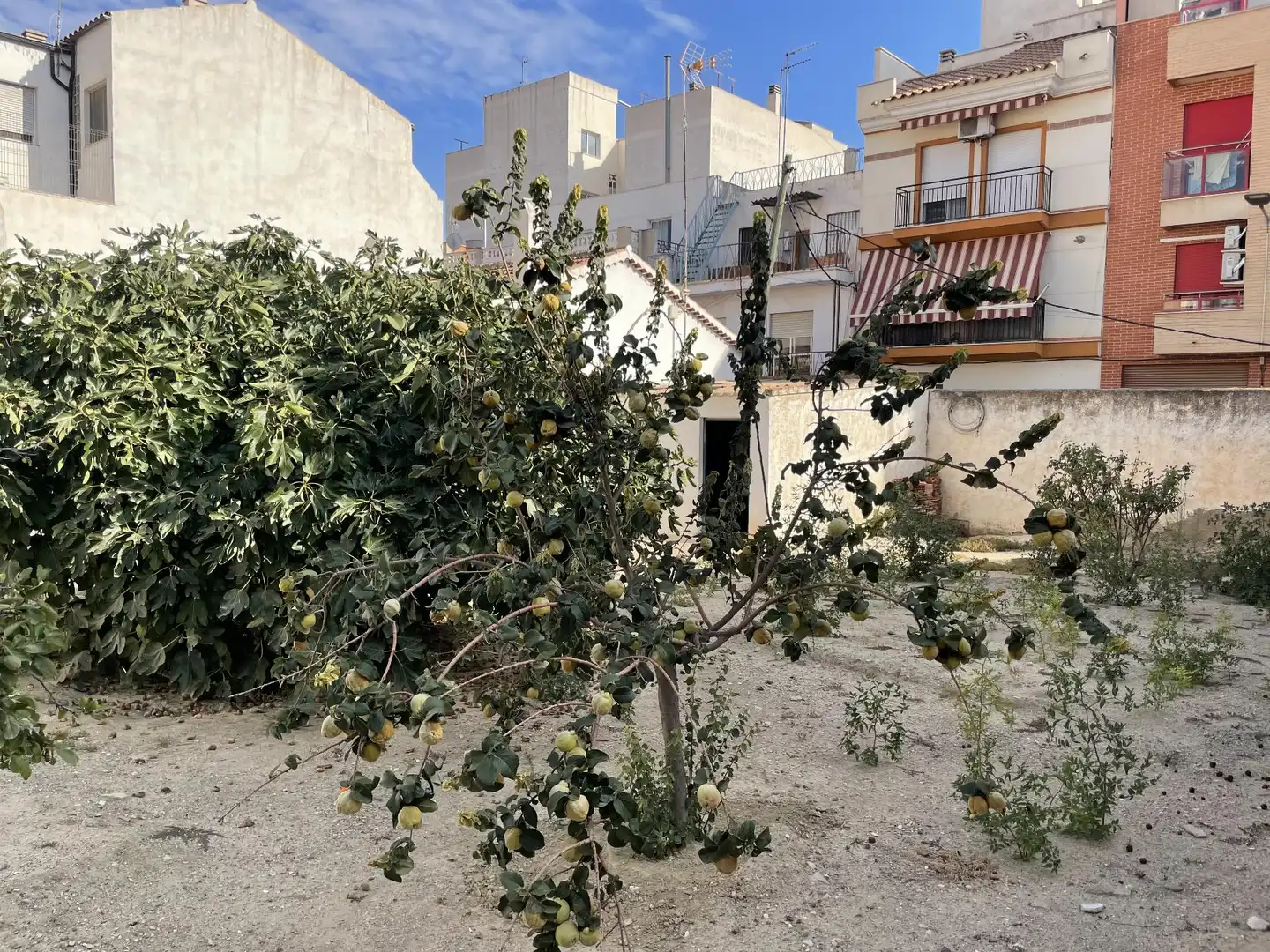Terrenos y solares en venta en Filipon de Cope, imagen 6