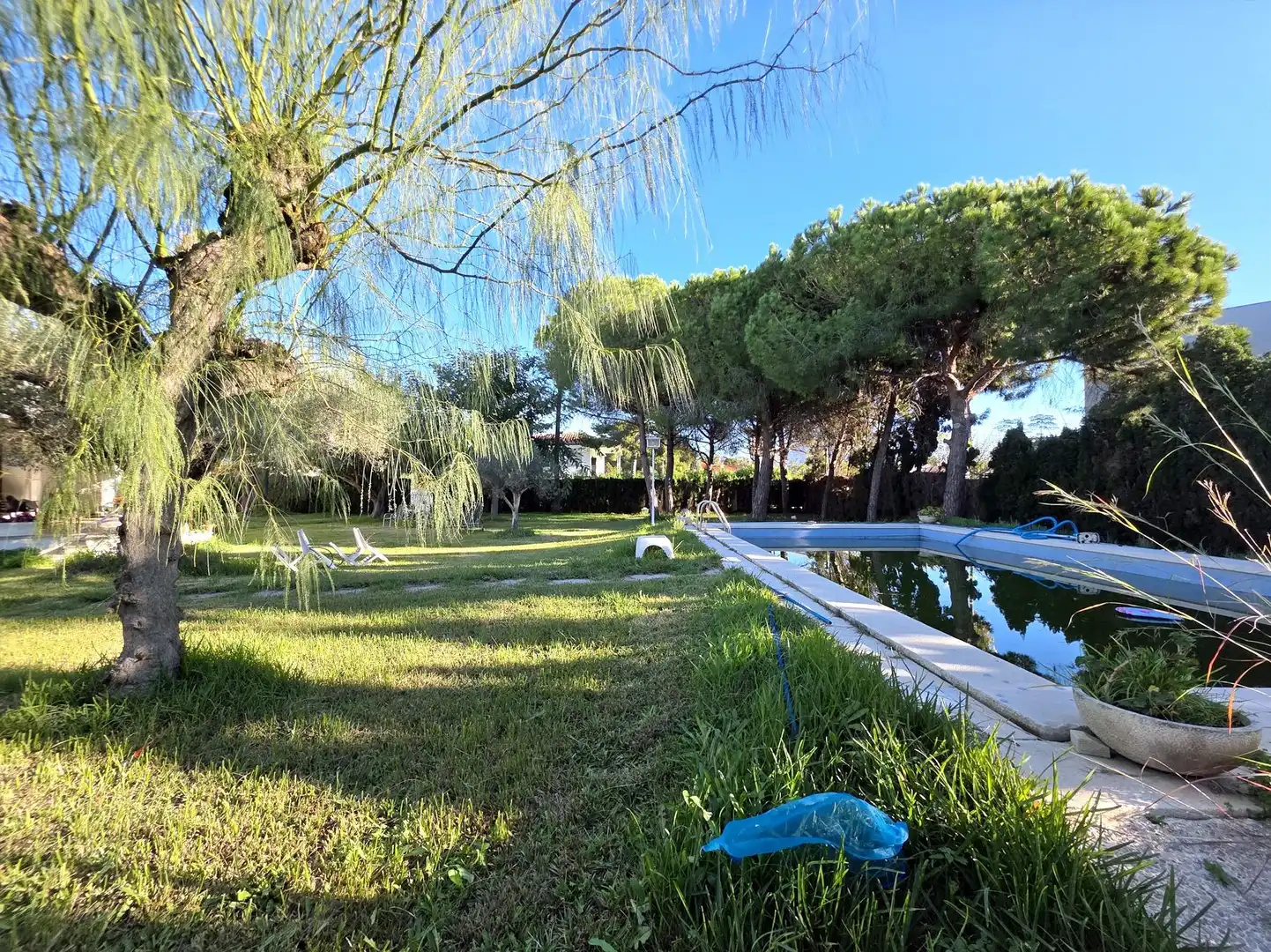 Jardí de Casa o xalet en venda en Castellón de la Plana / Castelló de la Plana amb Jardí privat, Terrassa i Piscina