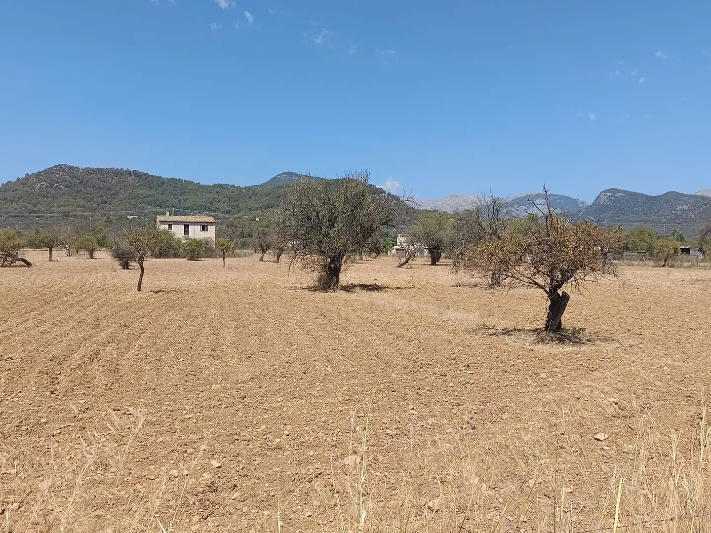 Country homes for sale in Binissalem  with Private garden