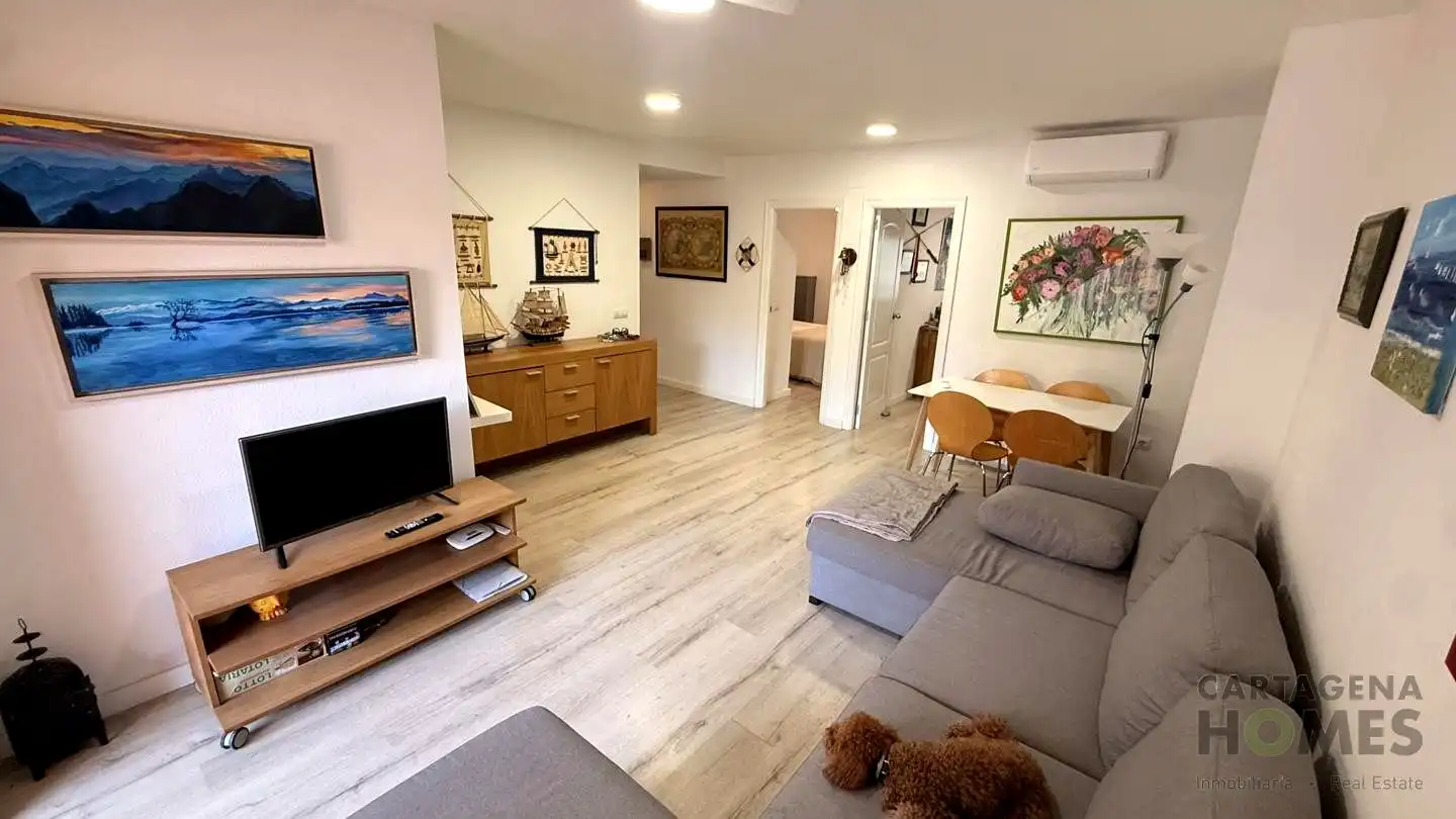Living room of Ground floor for sale in Cartagena  with Air Conditioner, Private garden and Terrace