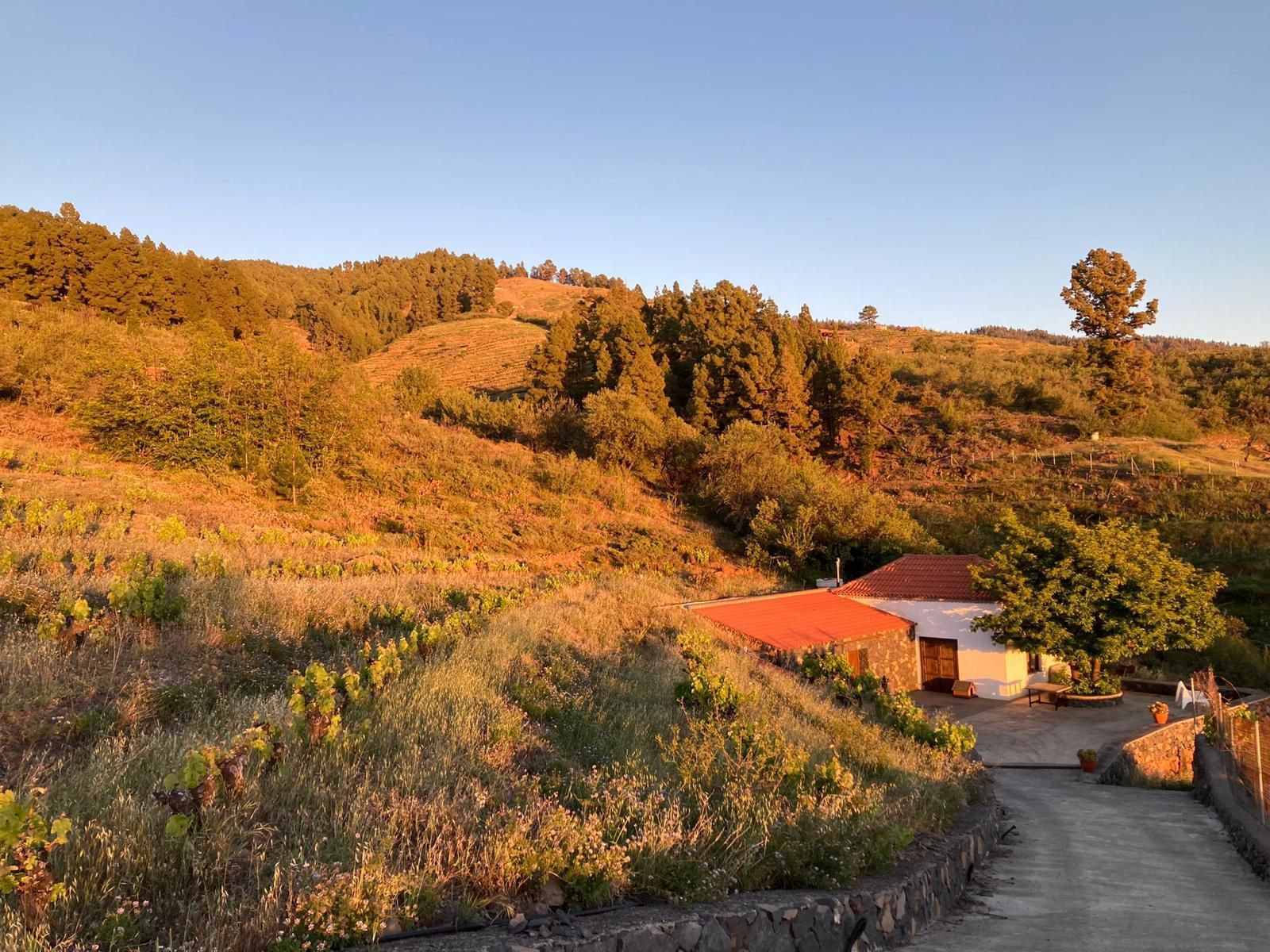 Vista exterior de Finca rústica en venda en Puntagorda amb Terrassa, Moblat i Internet