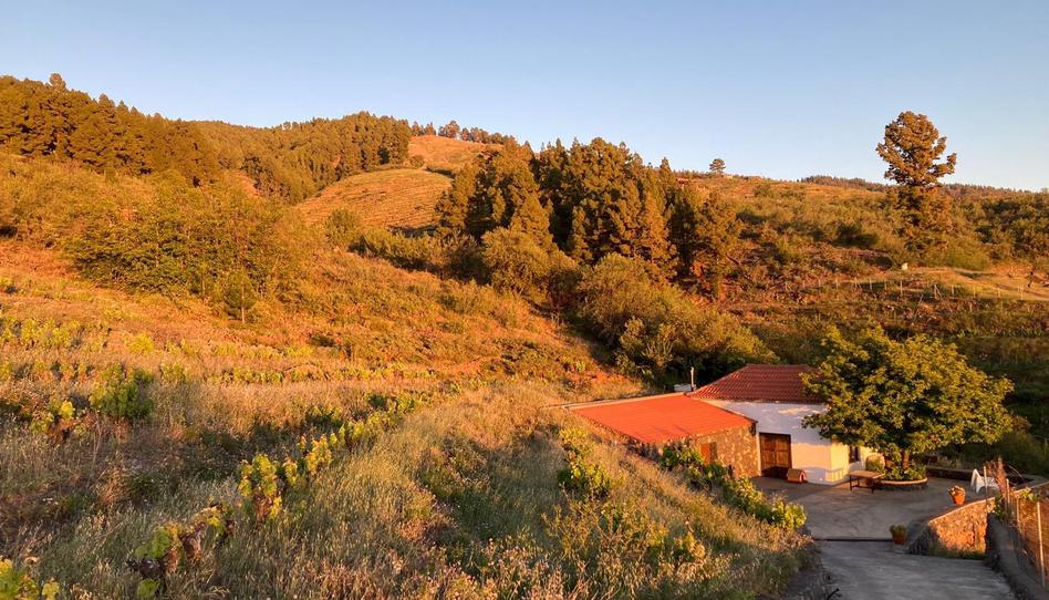 Photo 1 of Country house for sale in N/a, -1, Puntagorda, Santa Cruz de Tenerife