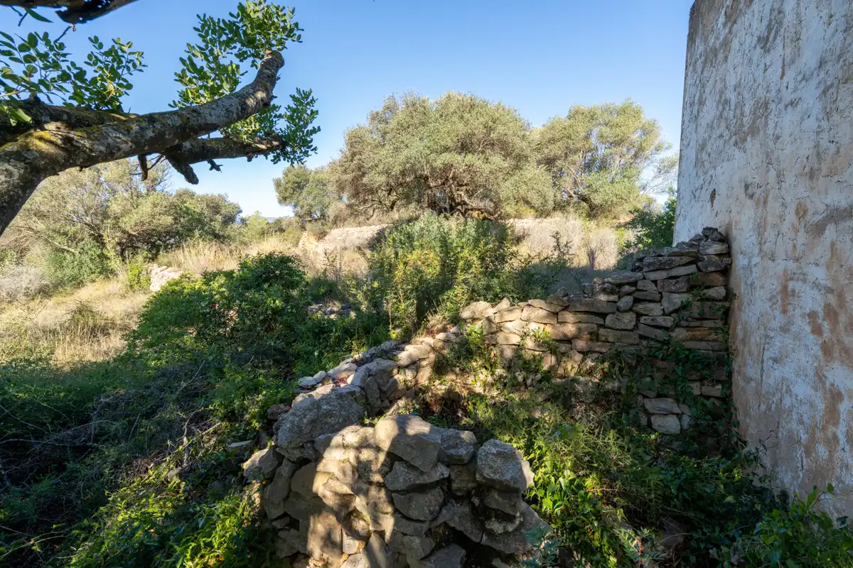 Terreny rústic en venda a Camí de la Potra de Pino 28, imagen 19