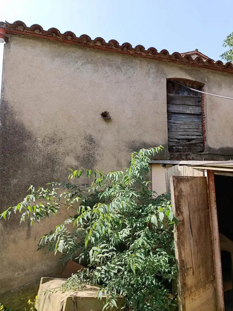 Vista exterior de Finca rústica en venta en Sant Celoni