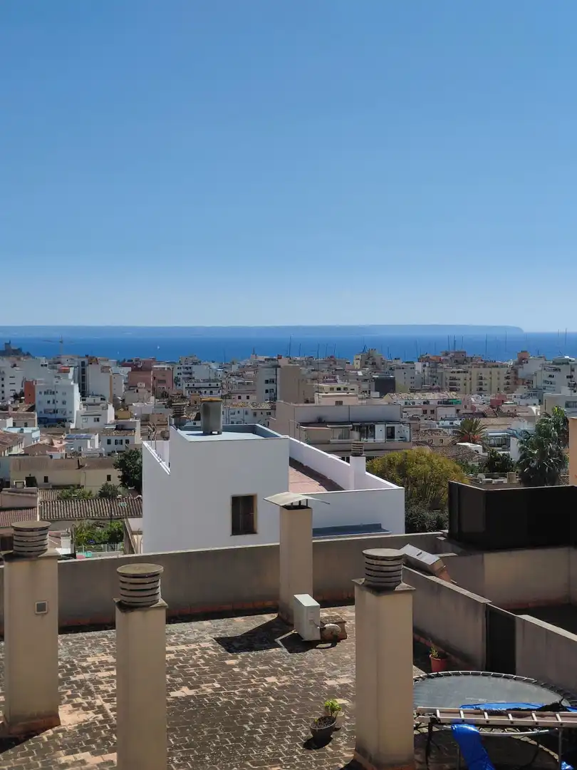 Vista exterior de Pis en venda en  Palma de Mallorca amb Calefacció i Terrassa