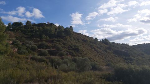 Finca Rúst. en venta en Albagés (L`)., imagen 3