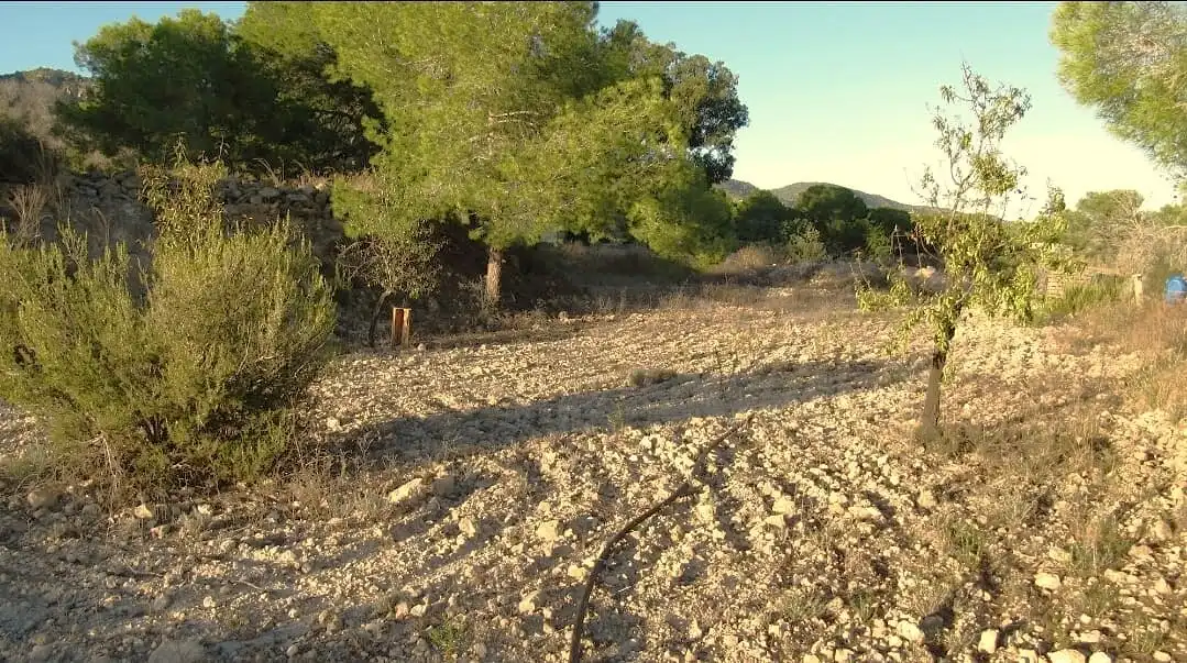 Terreno residenziale in vendita a Campo de Murcia, imagen 19