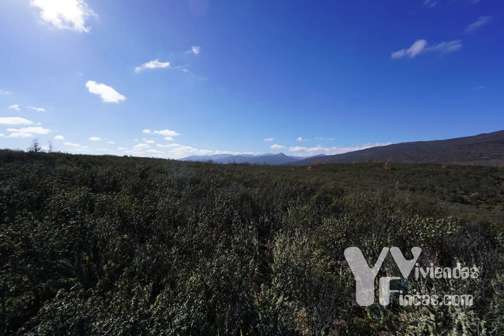 Terreno rústico en venta en Campillo de Ranas