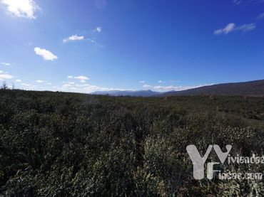 Terreno rústico en venta en Campillo de Ranas