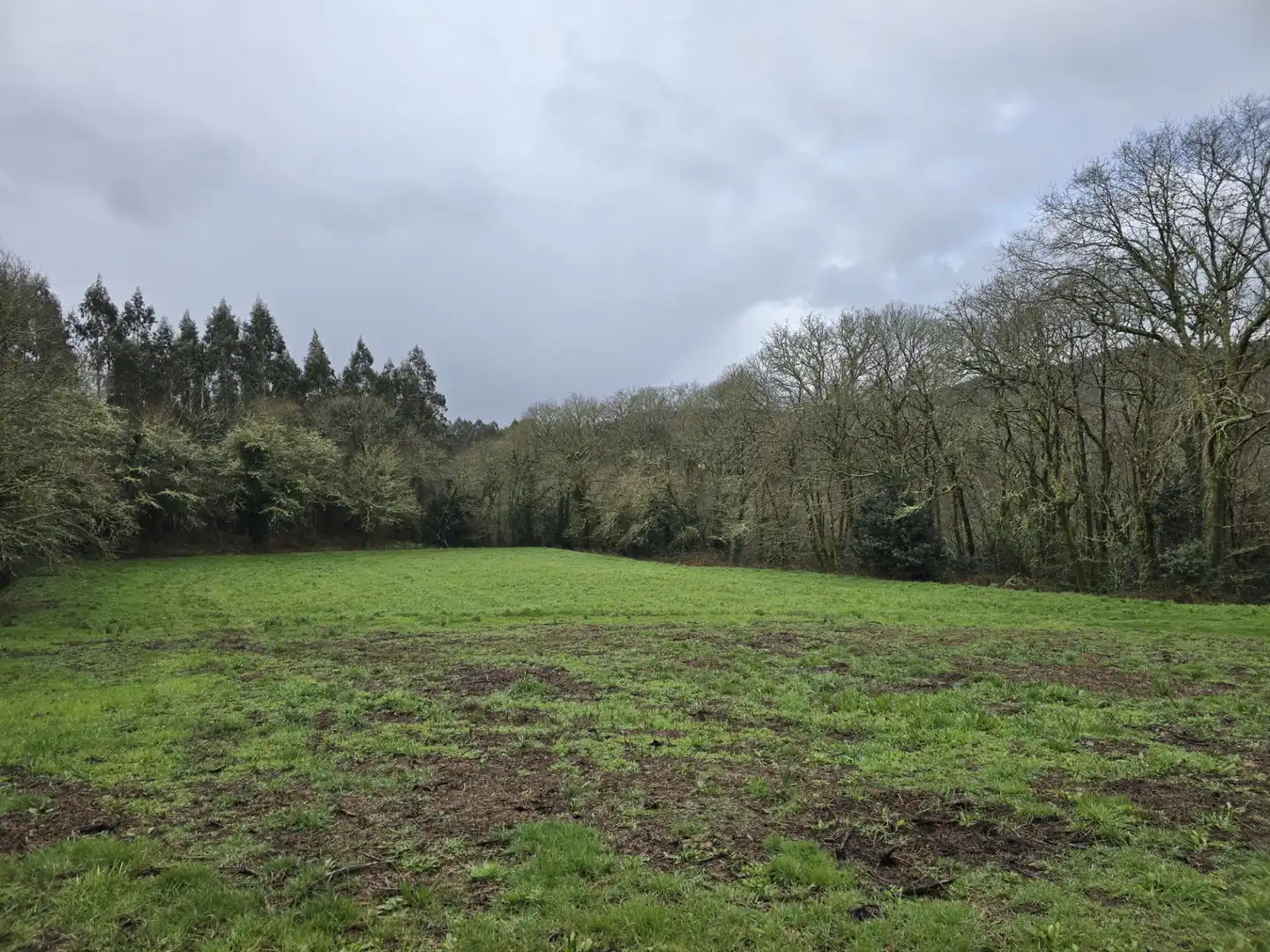 Finca rústica en venda en Cerceda amb Jardí privat