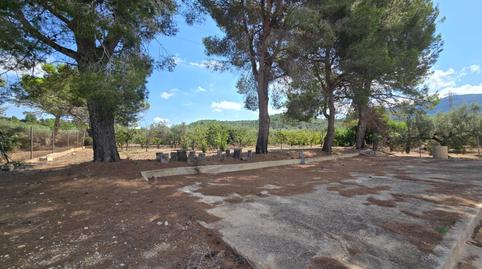 Foto 2 de Finca rústica en venda a Freginals, Tarragona