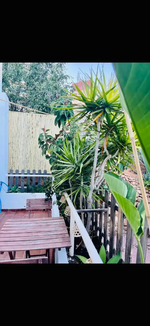 Terrasse von Wohnung zur Miete in Vícar mit Klimaanlage, Heizung und Terrasse