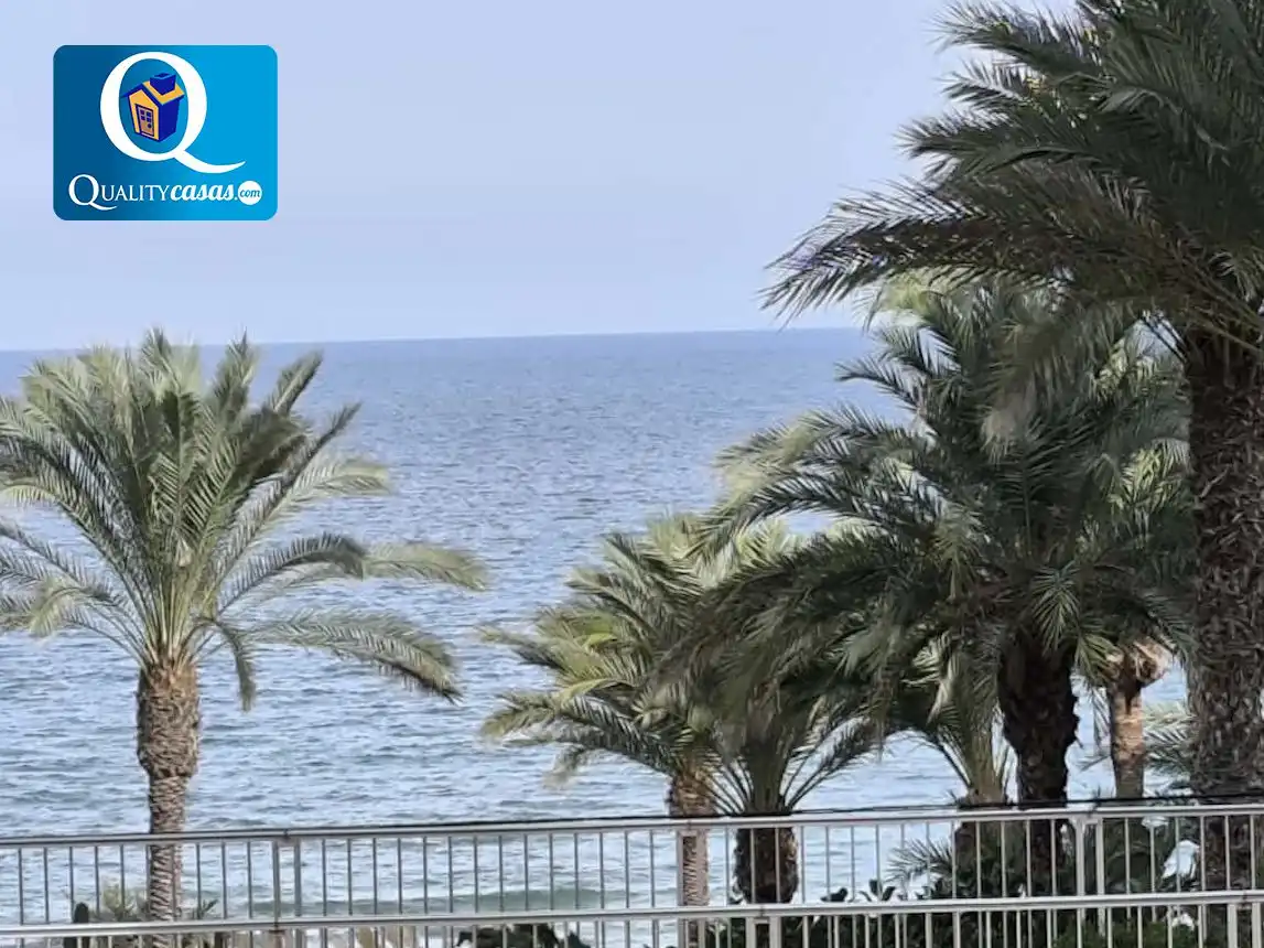 Vista exterior de Apartament en venda en Elche / Elx amb Aire condicionat, Calefacció i Terrassa