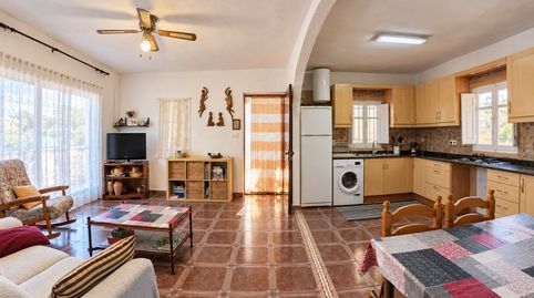 Finca rústica de 4316 m con vivienda, piscina y olivar en Segorbe