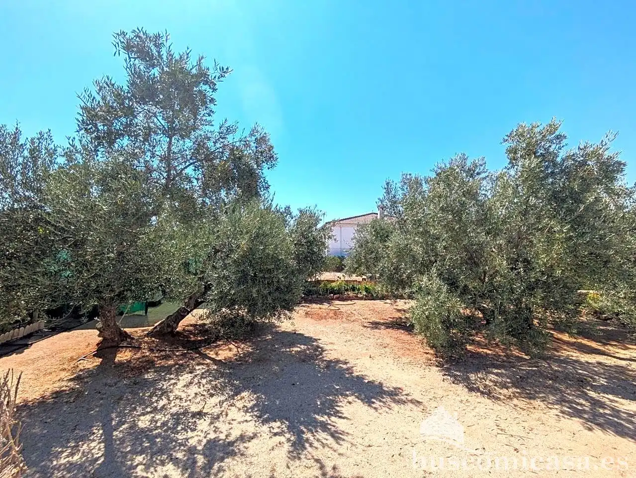 Casa o xalet en venda en Linares amb Aire condicionat, Jardí privat i Traster