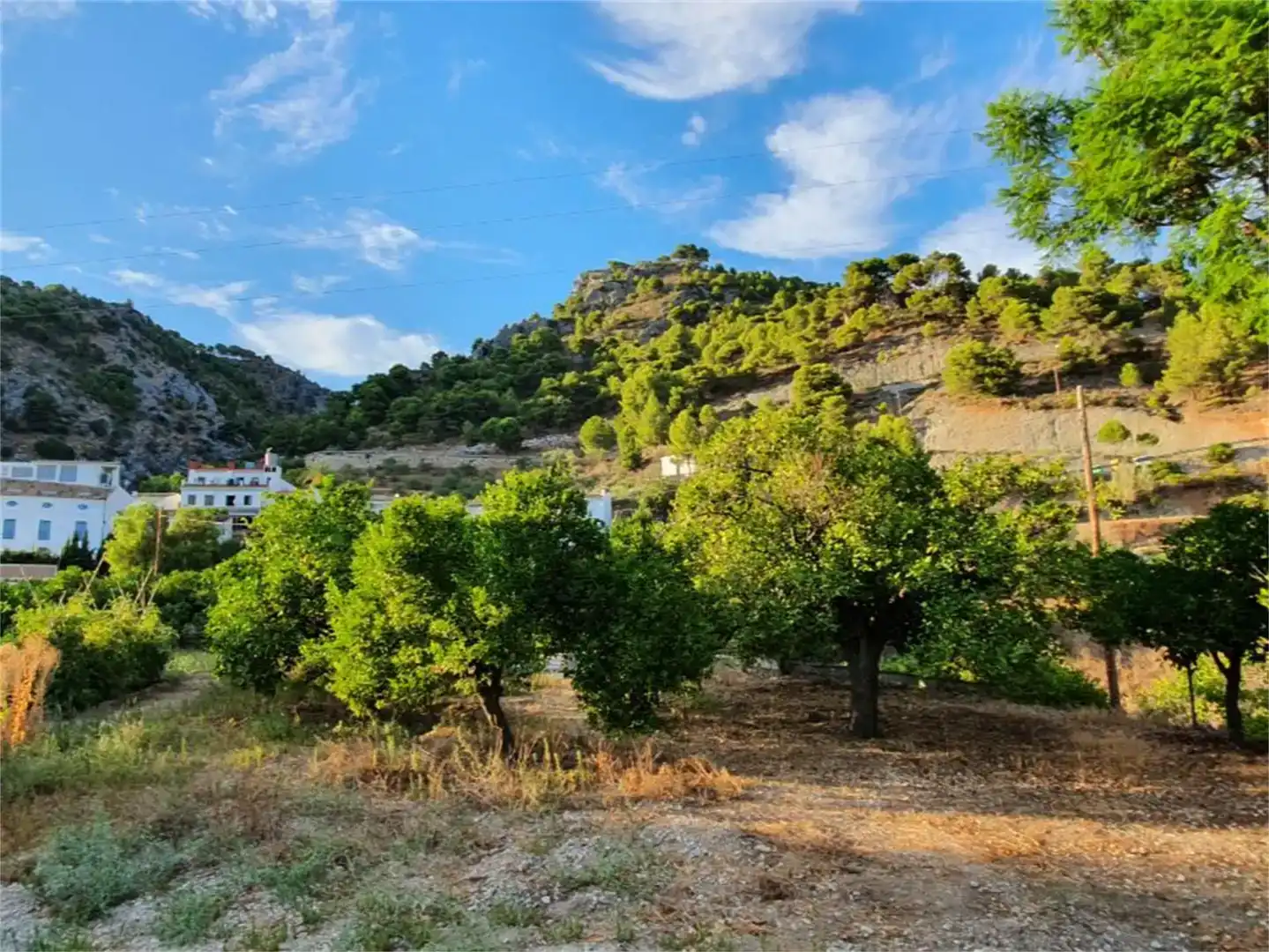 Finca rústica en venda en Alozaina