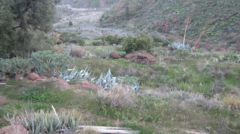 Photo 5 of Land for sale in El Cabrito, Santa Lucía de Tirajana interior, Santa Lucía de Tirajana