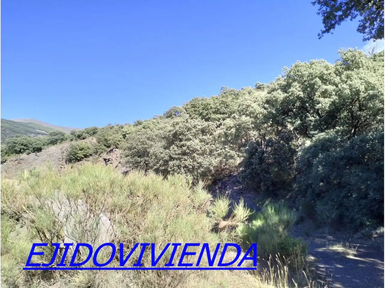Terreno en venta en Bayárcal