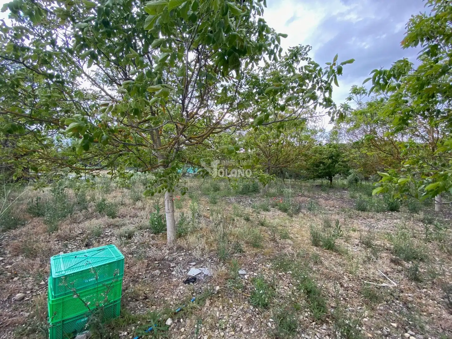 Lands and plots for sale in Calle Río 65, imagen 4