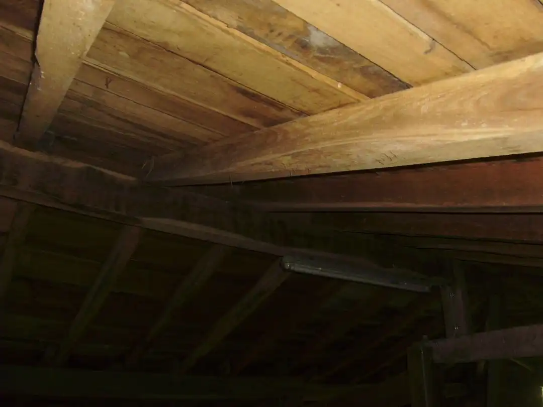 Maison avec terrasse à vendre à Amorebieta-Etxano, imagen 71