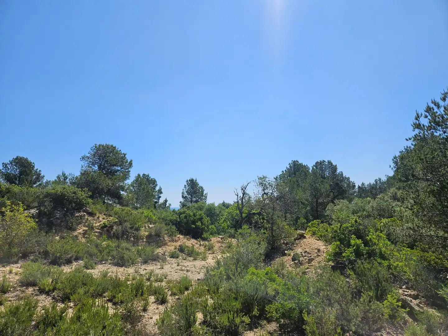 Grundstücke zum Verkauf in L'Ametlla de Mar 