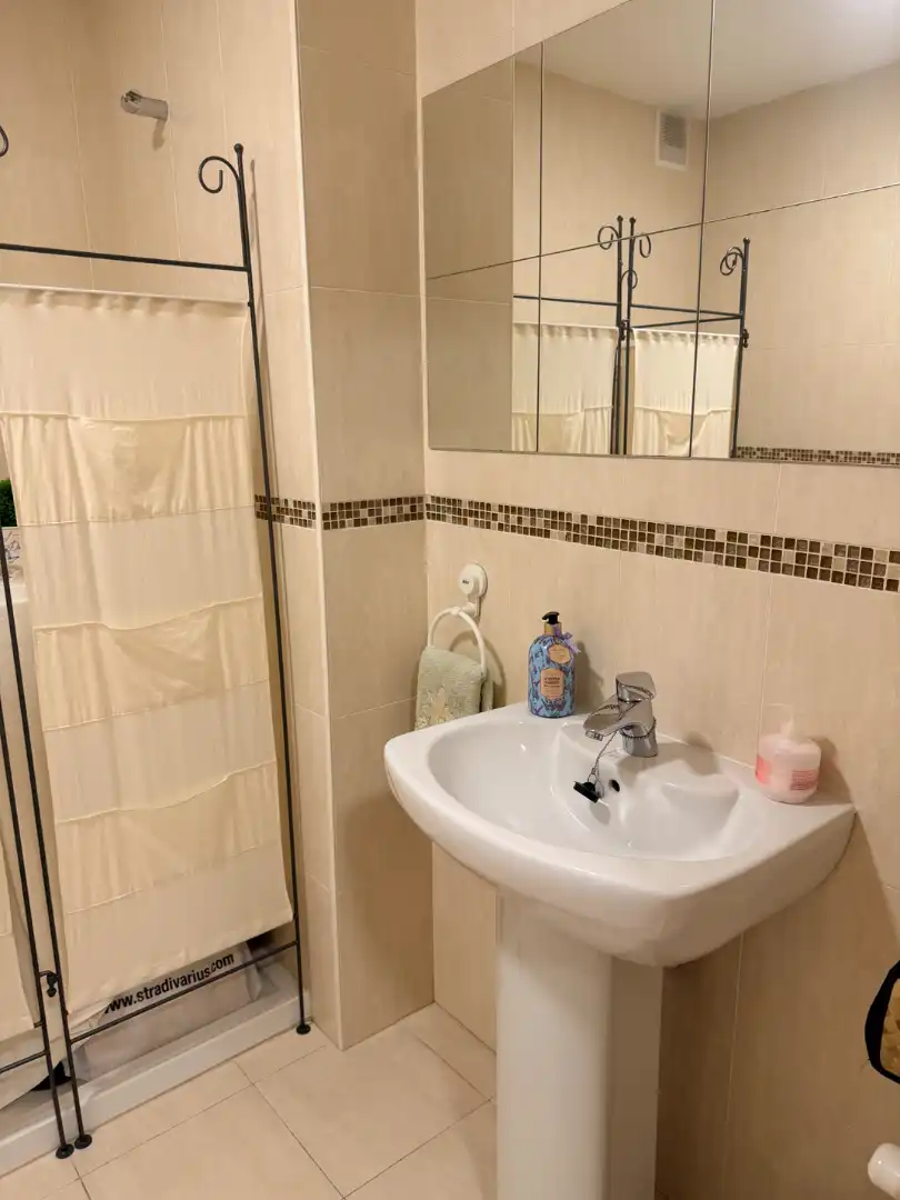 Bathroom of Flat for rent in Centro