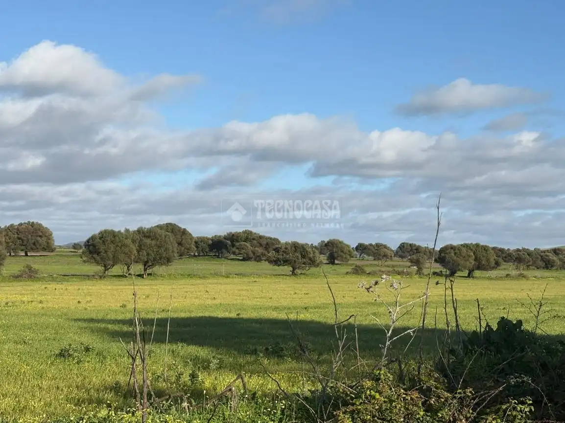 Terreni e lotti in vendita a Los villares, poligono 33 parcela 312, imagen 11