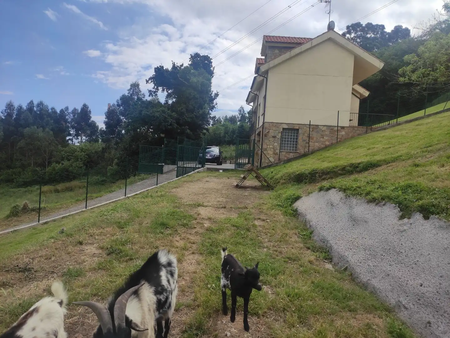 Außenansicht von Residential zum Verkauf in Carreño