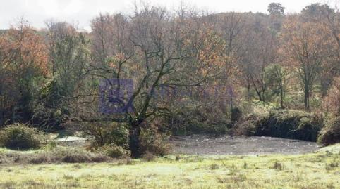 Foto 4 de Casa o xalet en venda a Casatejada, Cáceres