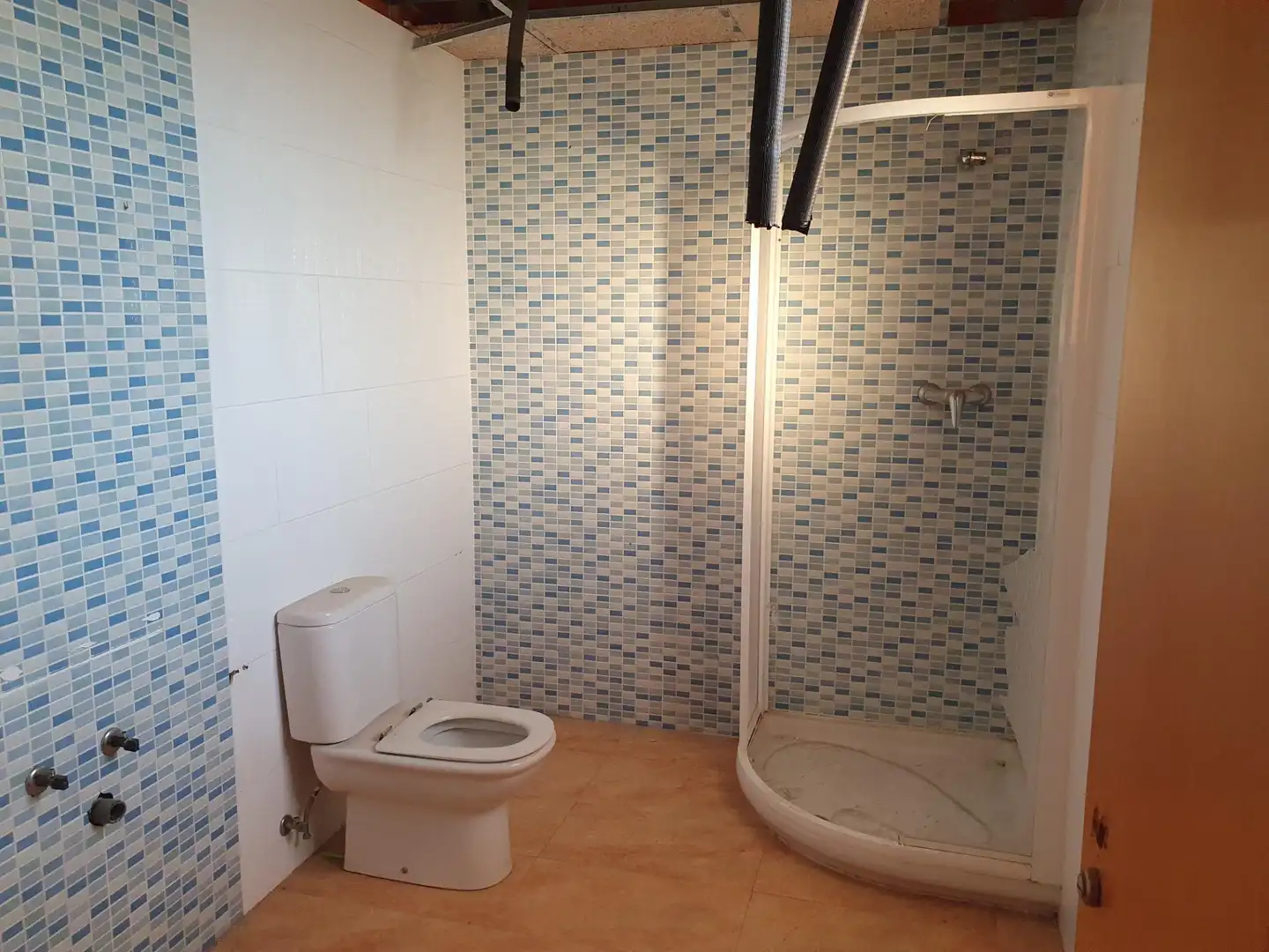 Bany de Casa o xalet en venda en Ceutí amb Jardí privat, Terrassa i Piscina