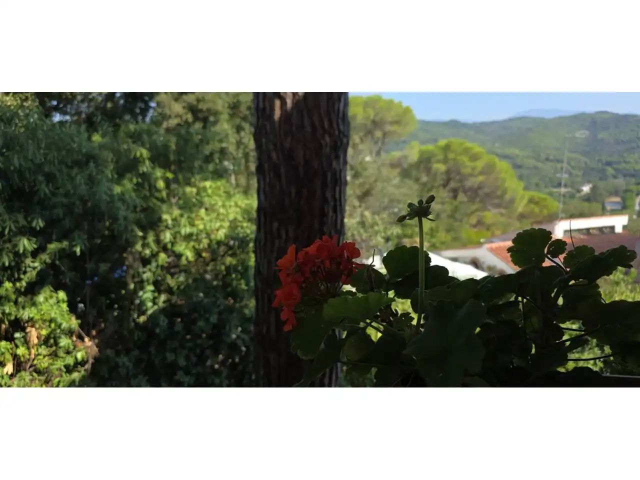 Garden of Houses for sale in Argentona  with Heating, Private garden and Terrace