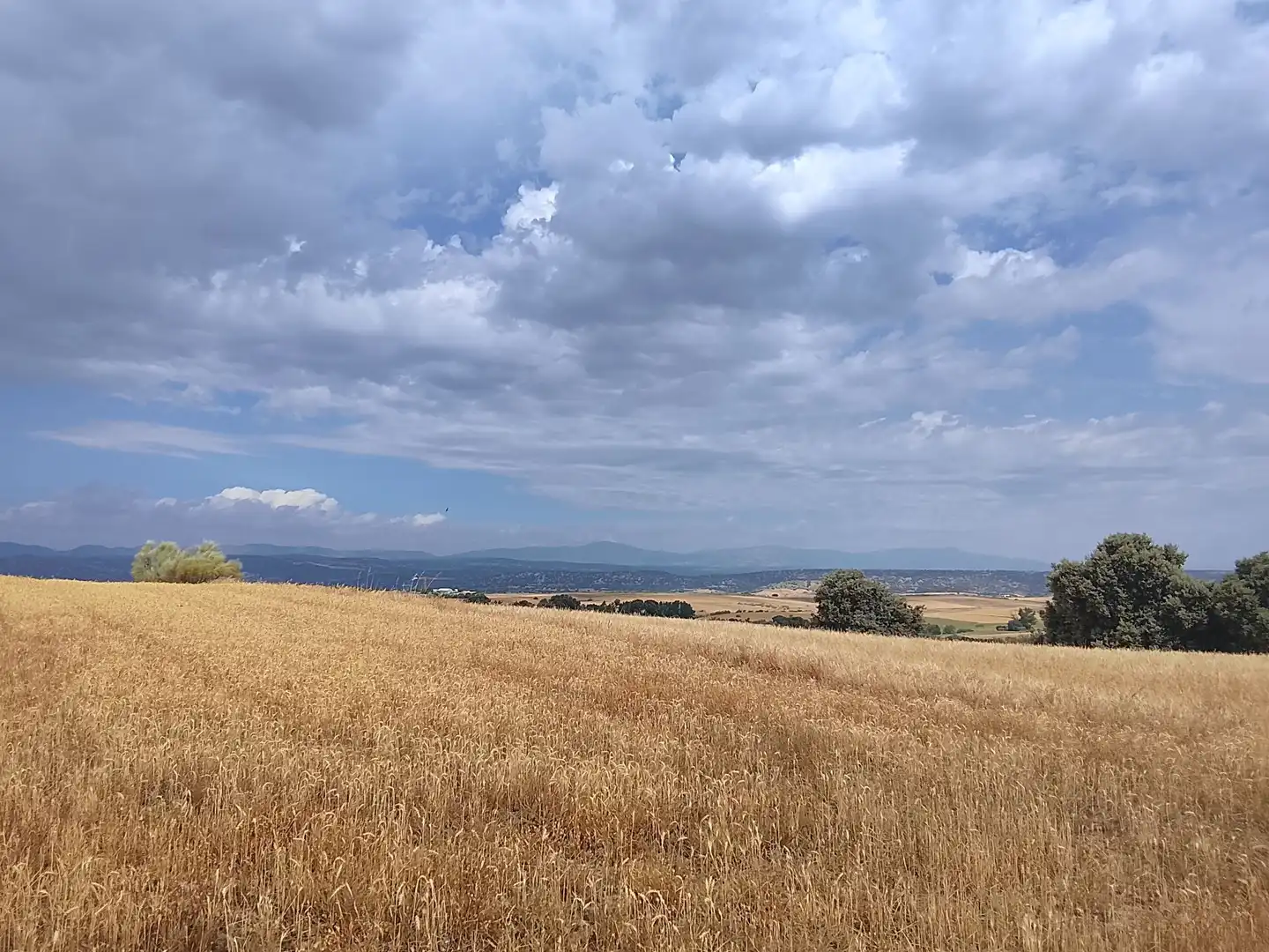 Terreno rustico in vendita a Quijorna, imagen 4