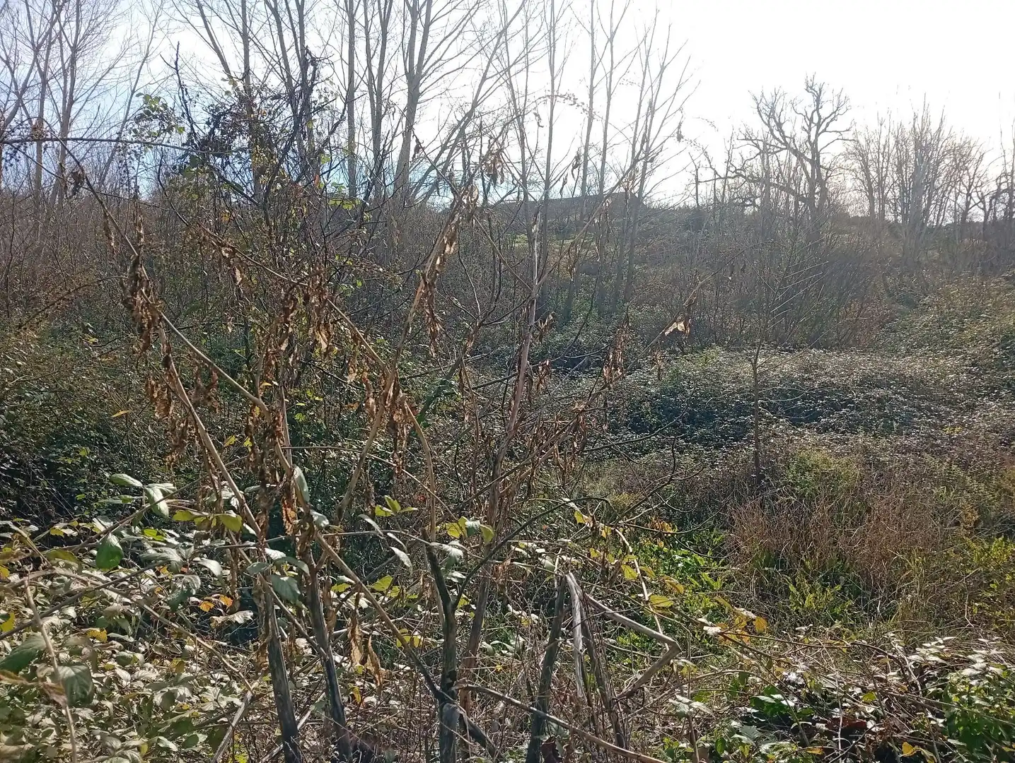 Terreni e lotti in vendita a Valverde de la Vera, imagen 11