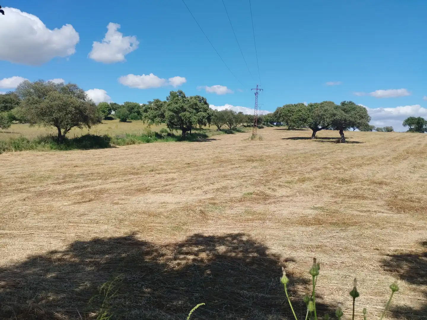Terreni e lotti in vendita a Jerez de los Caballeros, imagen 12