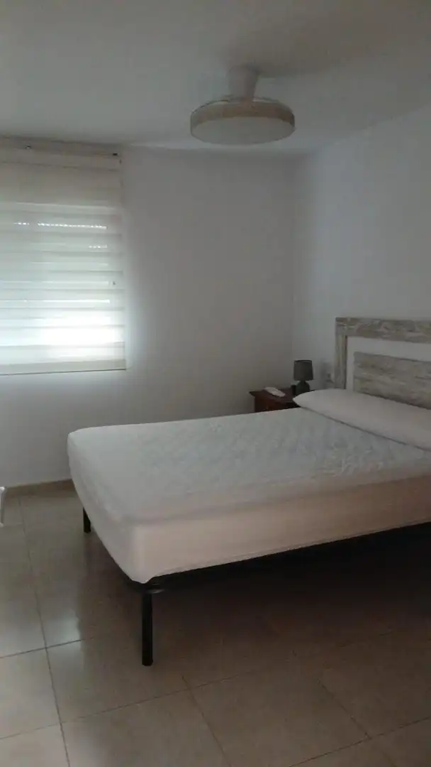 Apartments for rent in Calle MARITIM NEPTU, Playa de Gandia