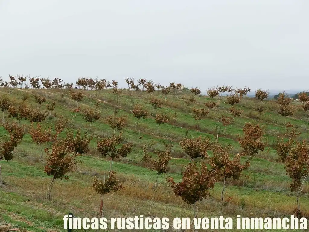 Terreni e lotti in vendita a Huete, imagen 29