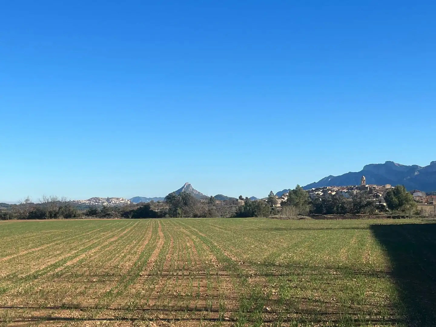 Terreni e lotti in vendita a Cretas, imagen 4