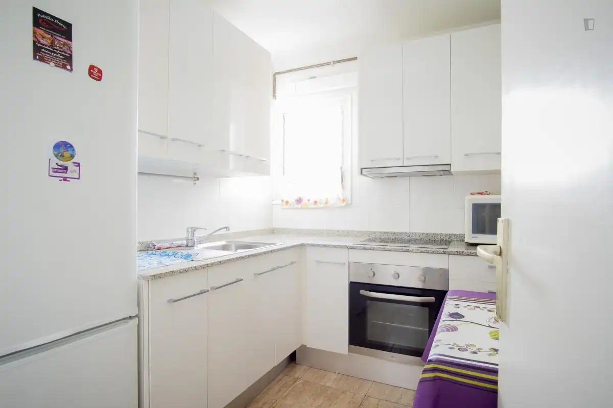 Cocina de Apartamento para compartir en L'Hospitalet de Llobregat con Amueblado, Horno y Lavadora