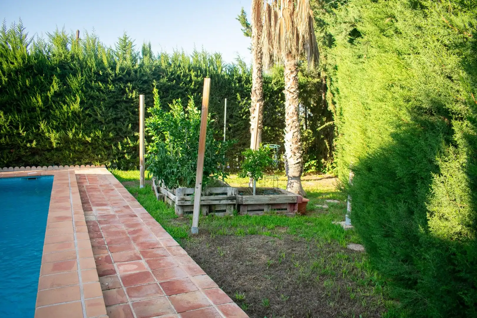 Villa avec piscine à vendre à Calle, imagen 44