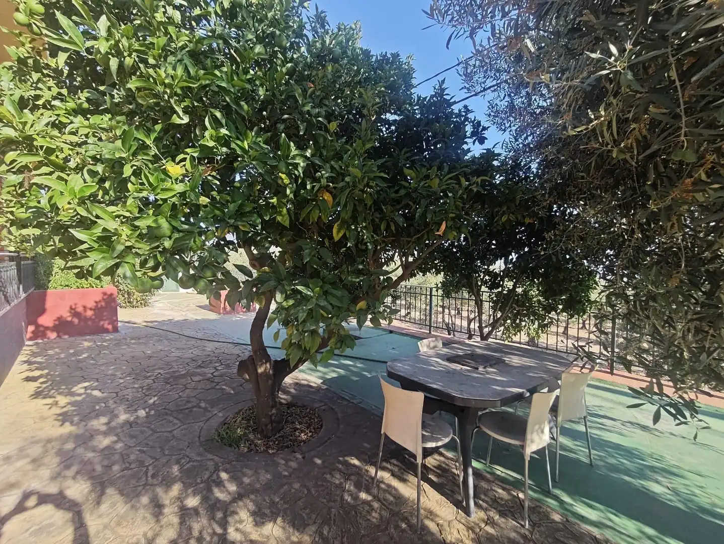 Garden of Country homes for sale in Sax  with Private garden, Storage room and Swimming Pool