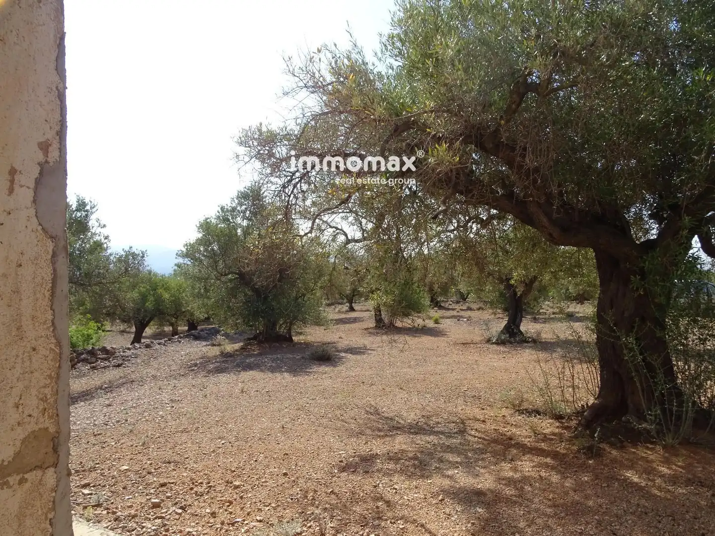 Terrain résidentiel à vendre à 13, imagen 6