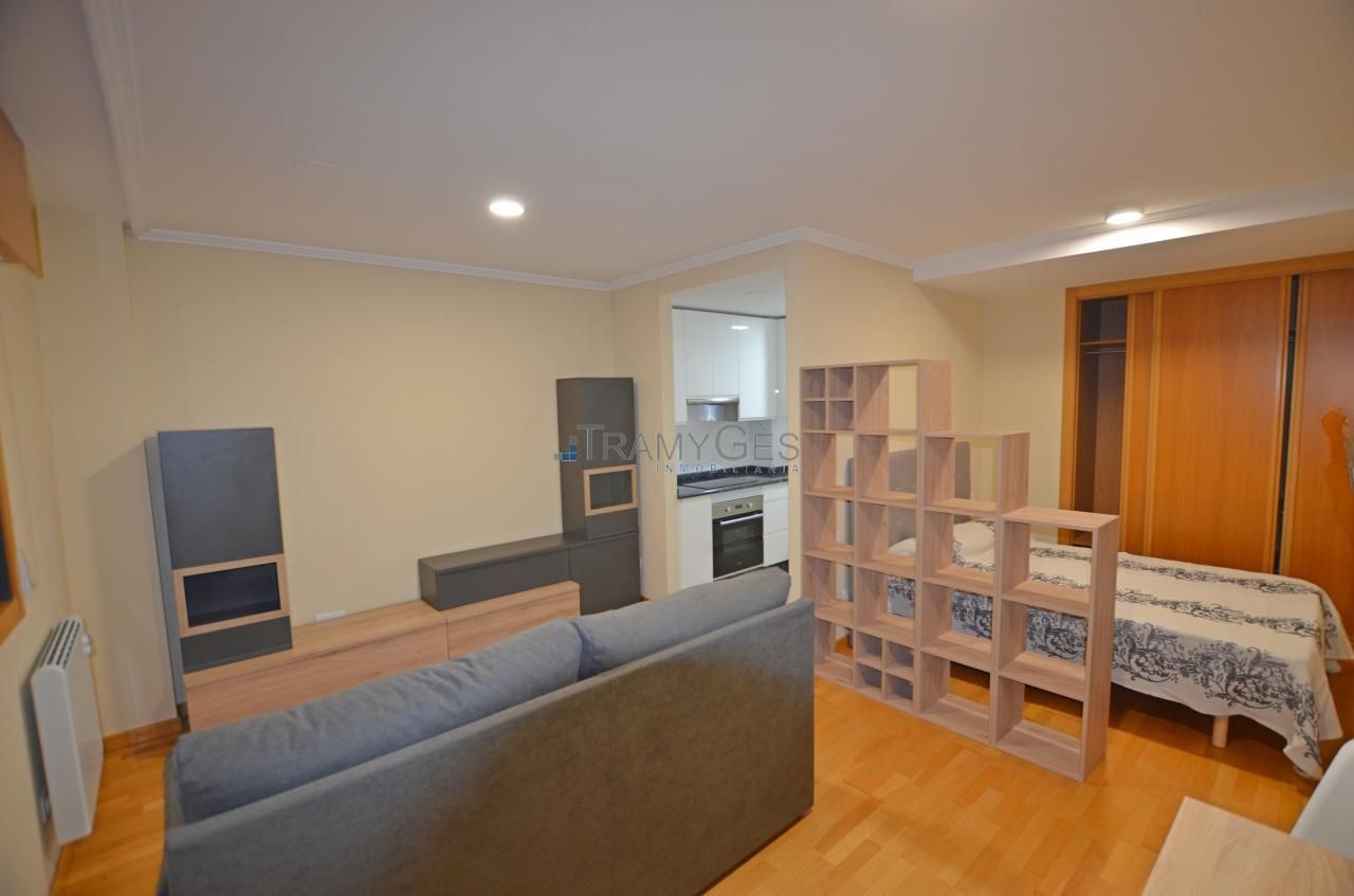 Sala d'estar de Estudi de lloguer en O Porriño   amb Calefacció i Moblat