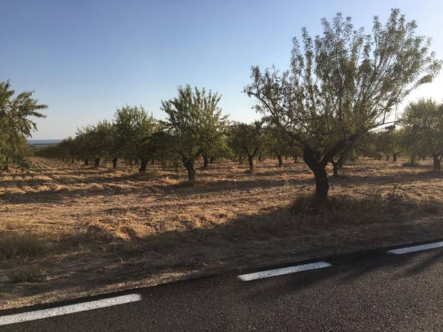 Terreno en Venta en Tercia