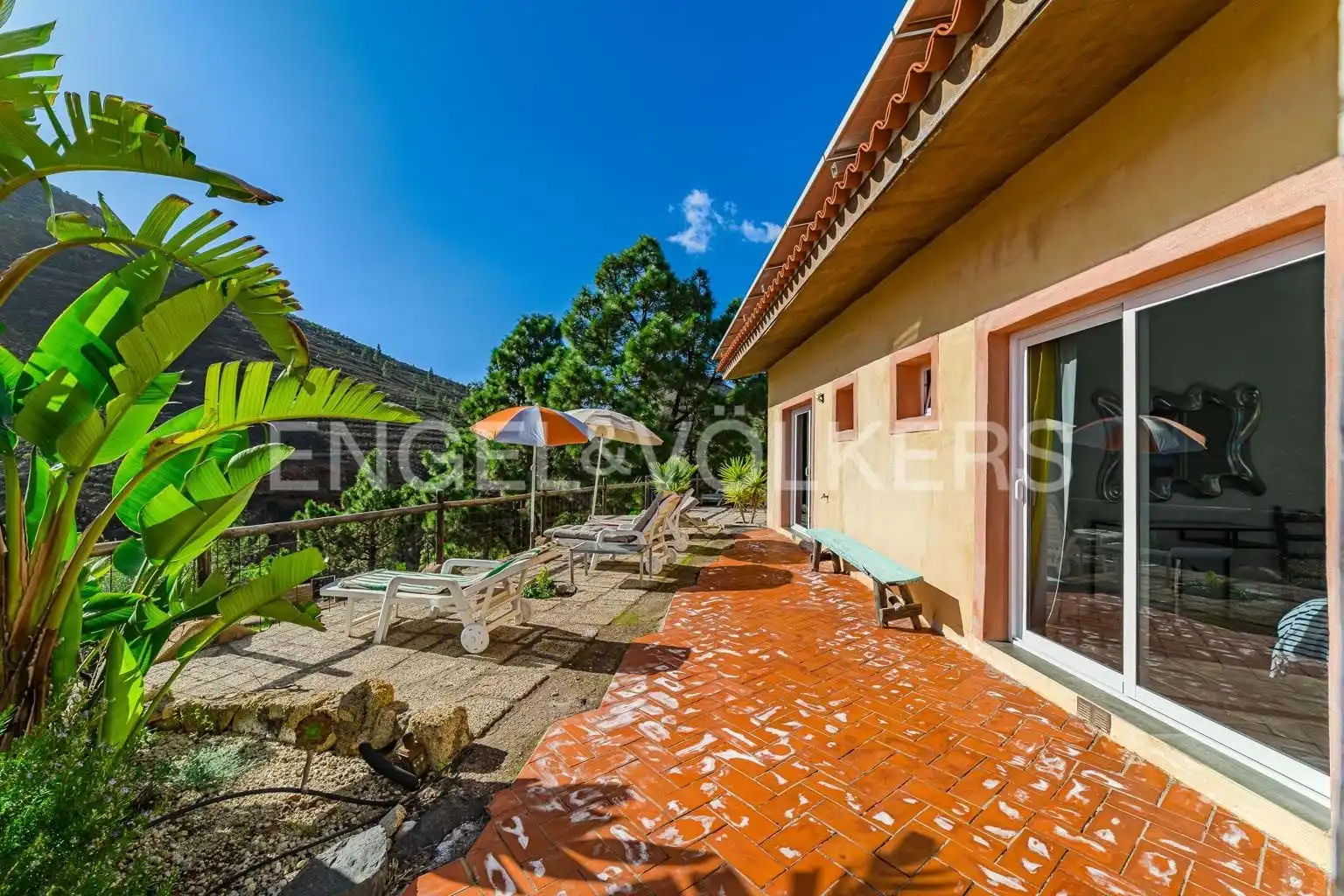 Exterior view of Houses for sale in Vilaflor de Chasna  with Terrace and Furnished