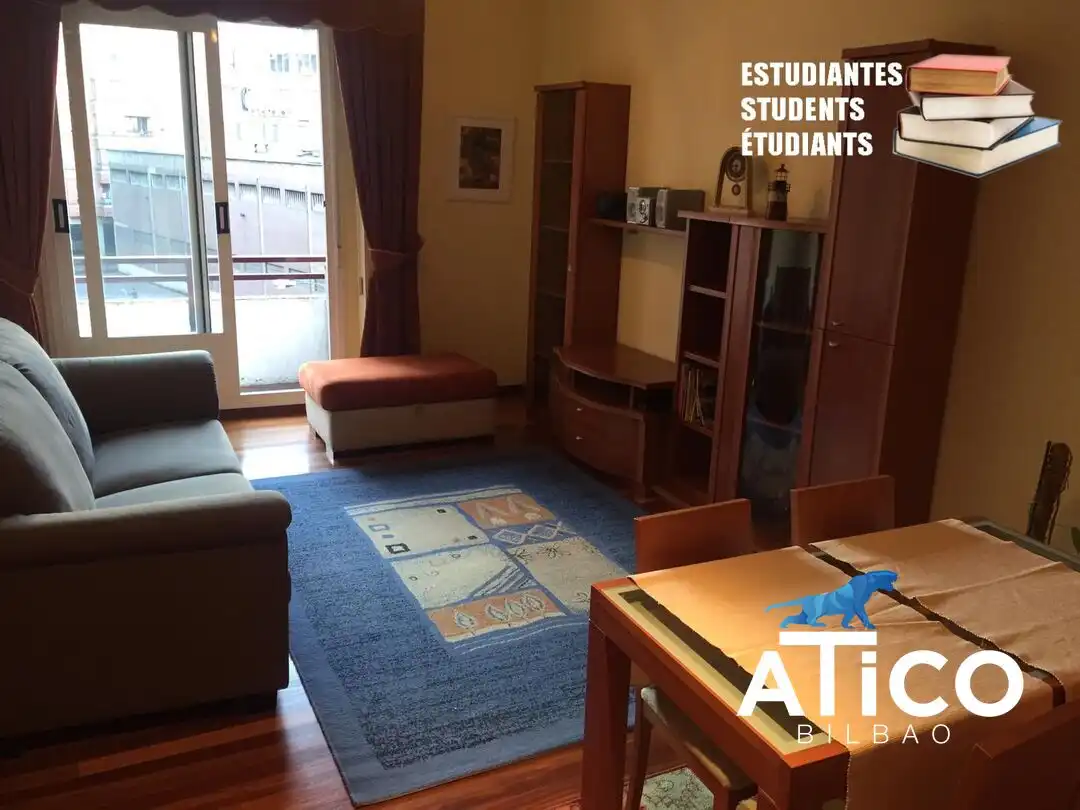 Sala d'estar de Pis de lloguer en Bilbao  amb Calefacció, Jardí privat i Forn