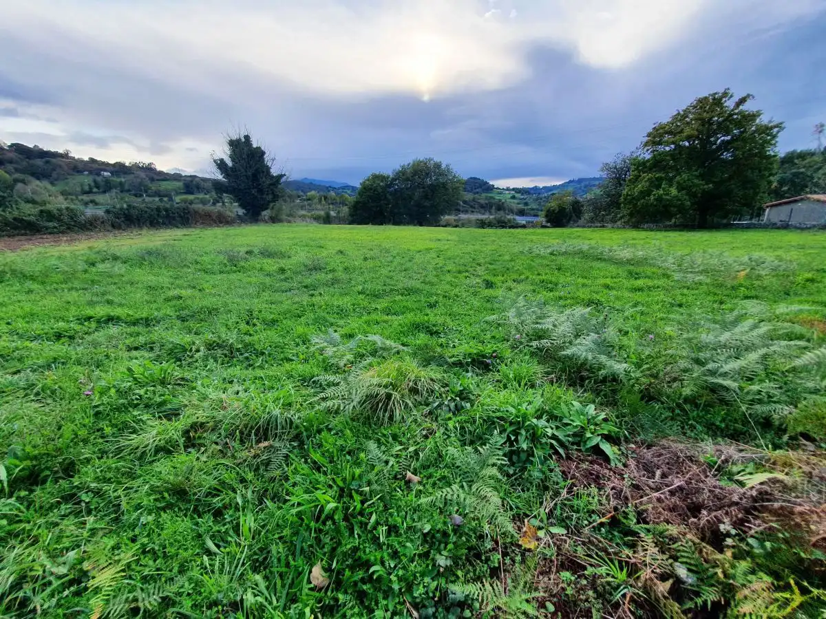 Residential land for sale in Grado, imagen 6