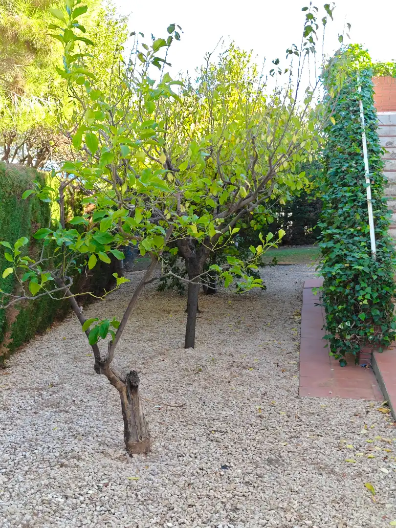 Garden of Houses for sale in El Port de la Selva  with Heating, Private garden and Terrace