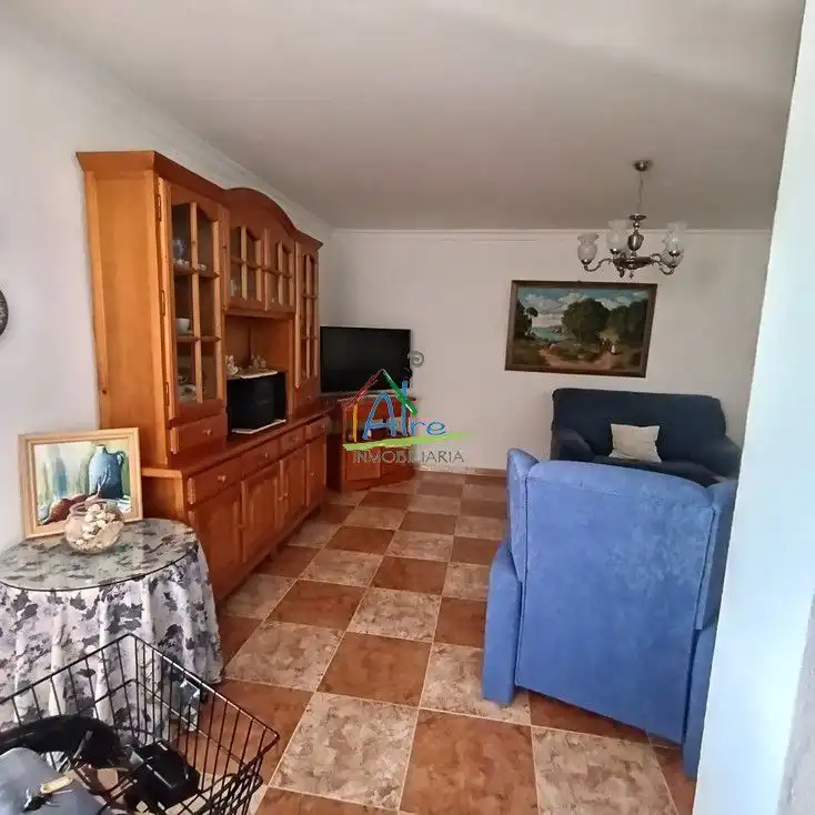 Sala d'estar de Casa o xalet en venda en Almonte amb Terrassa
