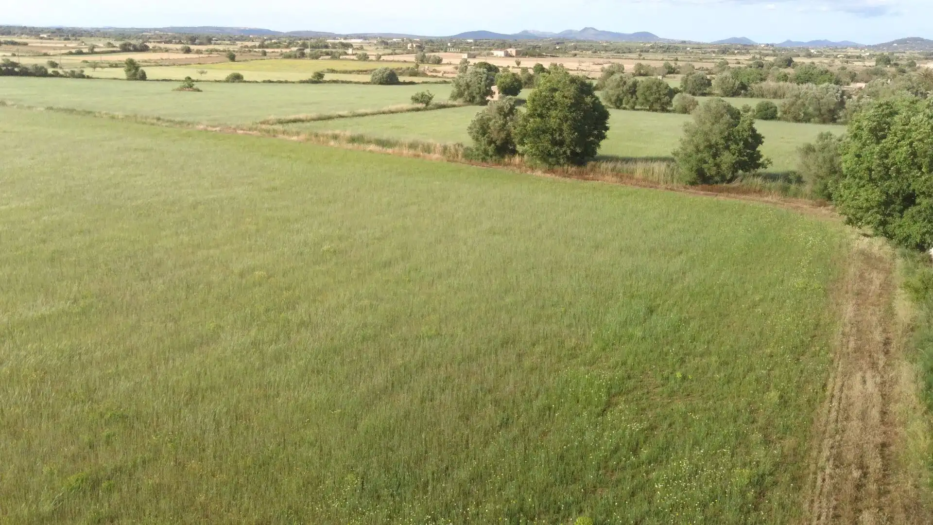 Terrenys i solars en venda a son valls