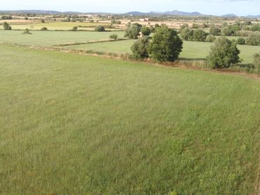 Lands and plots for sale in son valls